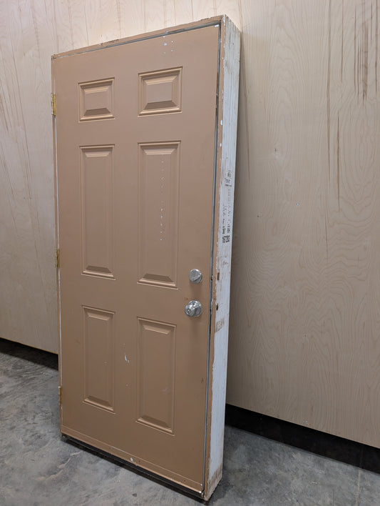 Steel Insulated Exterior Door in Frame