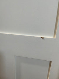 Shaker Style 3 Panel Interior Door in Frame