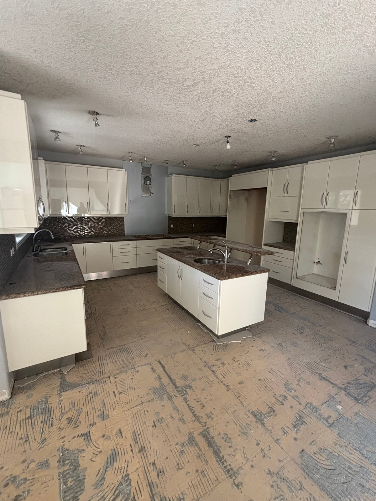 Large Modern Kitchen