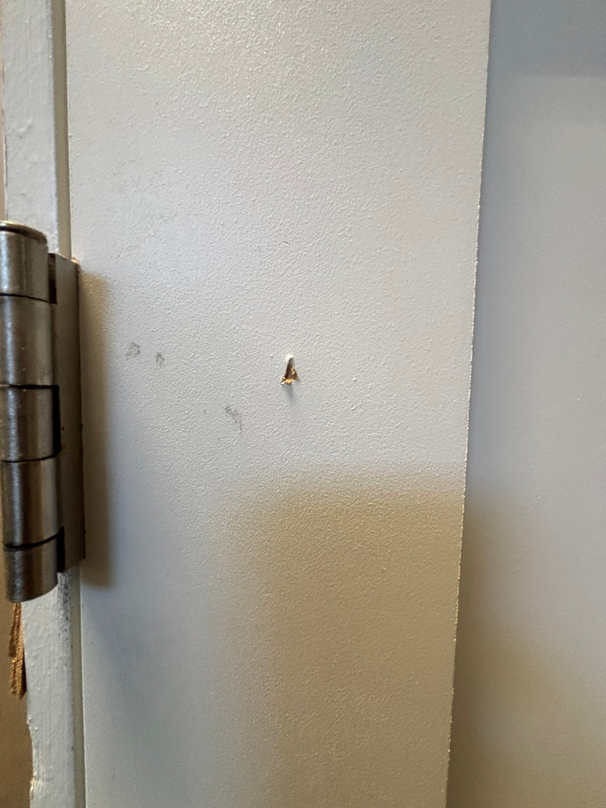 Residential Interior Door in Frame