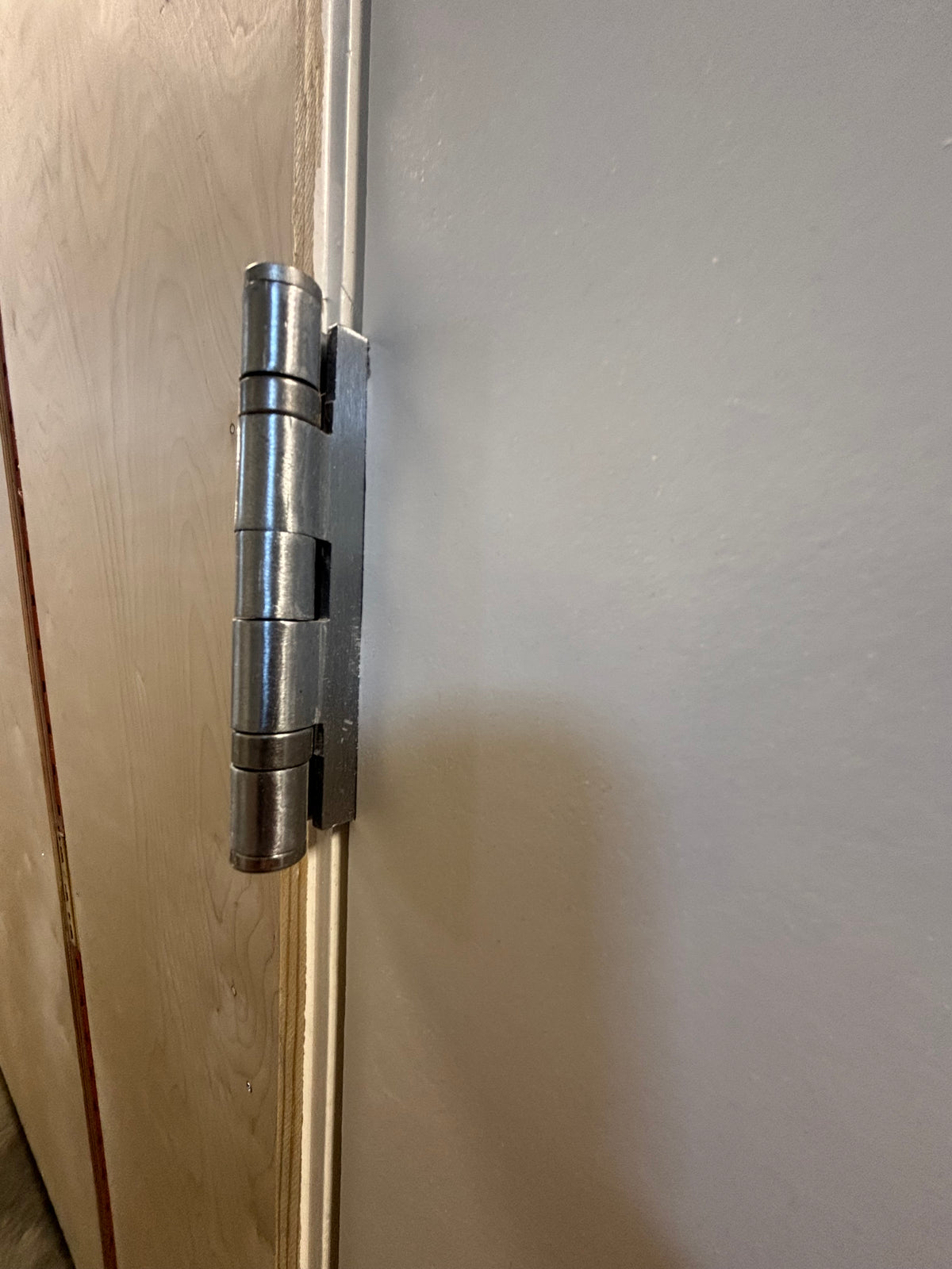 Residential Interior Door in Frame