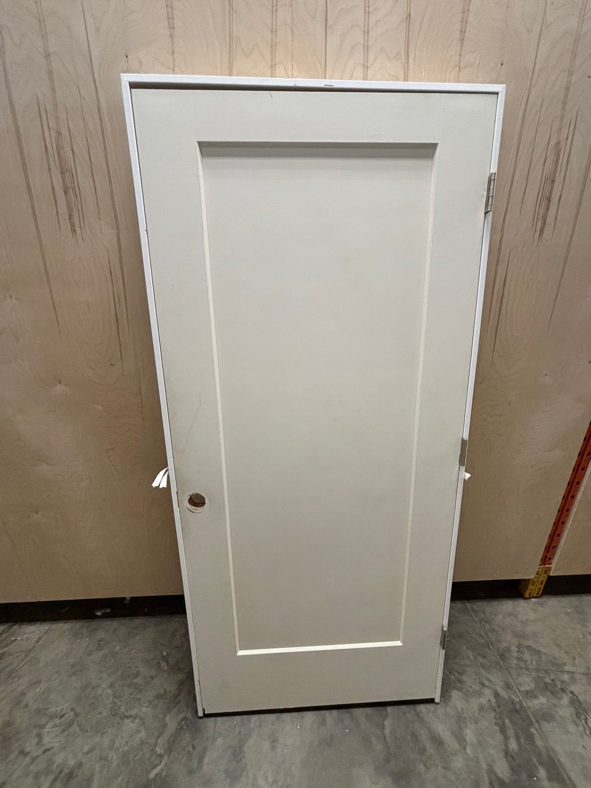 Single Panel Interior Door in Frame