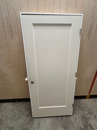 Single Panel Interior Door in Frame