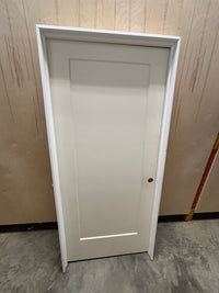Single Panel Interior Door in Frame